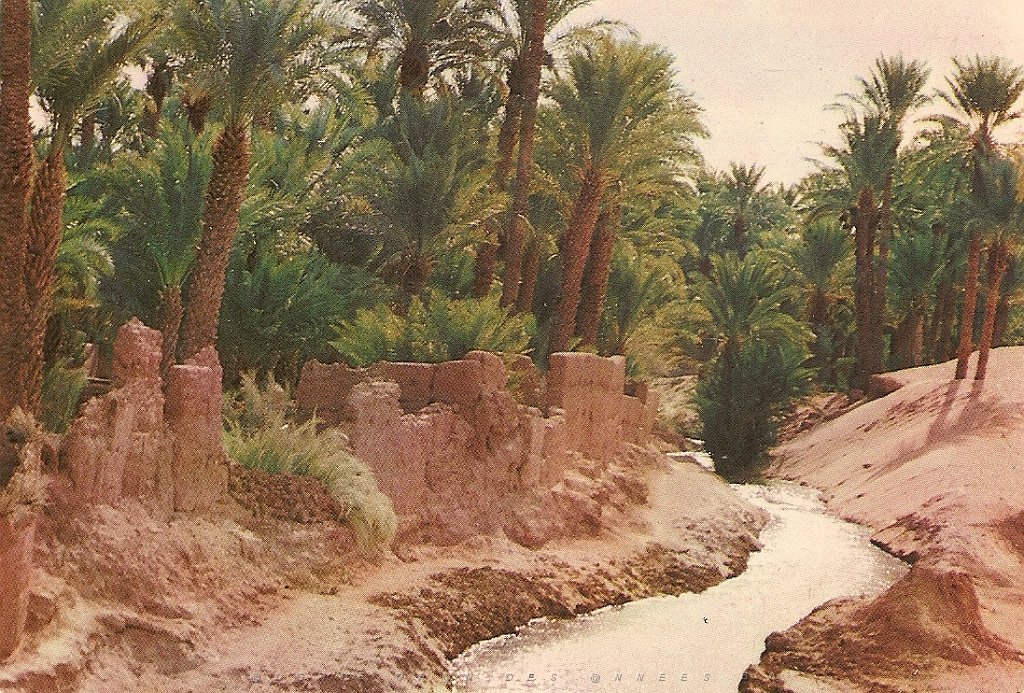 SUD MAROC (1).jpg